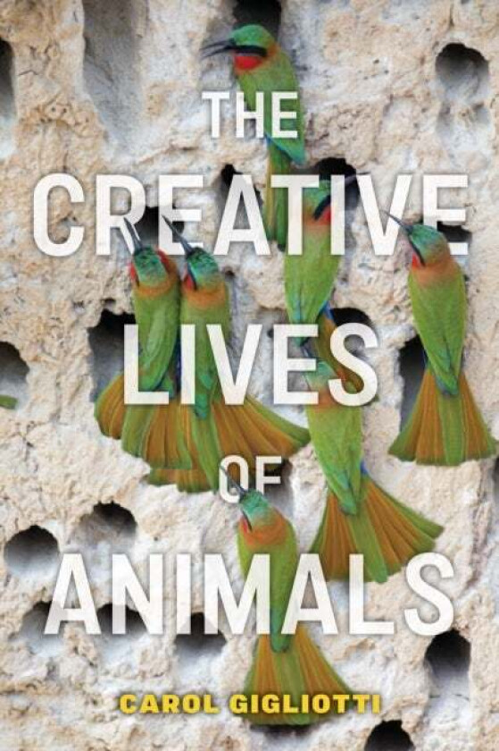 The Creative Lives of Animals av Carol Gigliotti