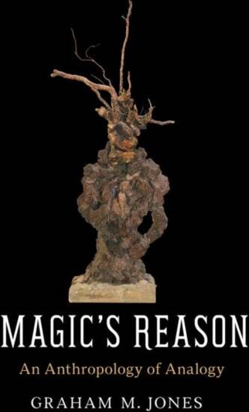 Magic's Reason av Graham M. Jones
