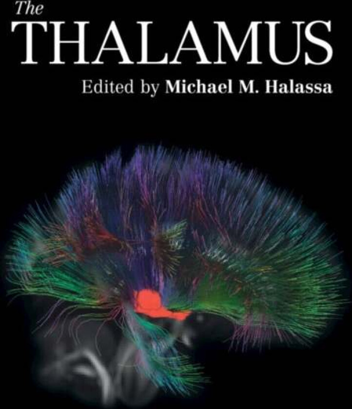 The Thalamus