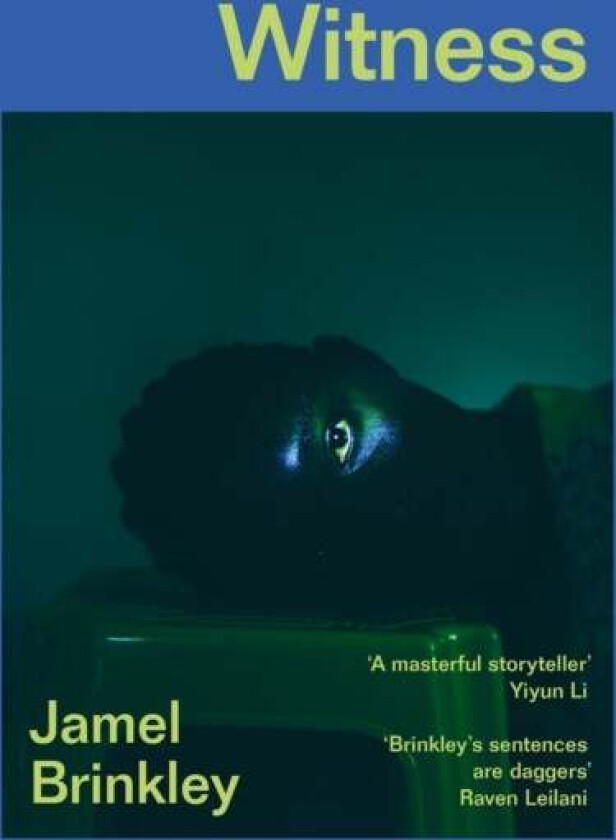 Witness av Jamel Brinkley