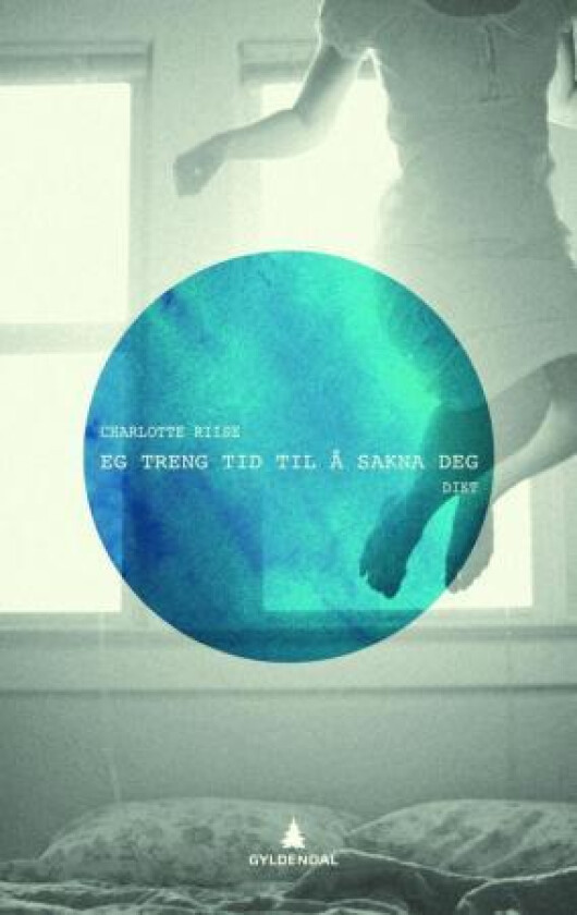 Eg treng tid til å sakna deg av Charlotte Riise
