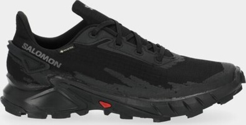 Shoes Alphacross 4 Gtx W Black, Black/Black/Black, 36 2/3