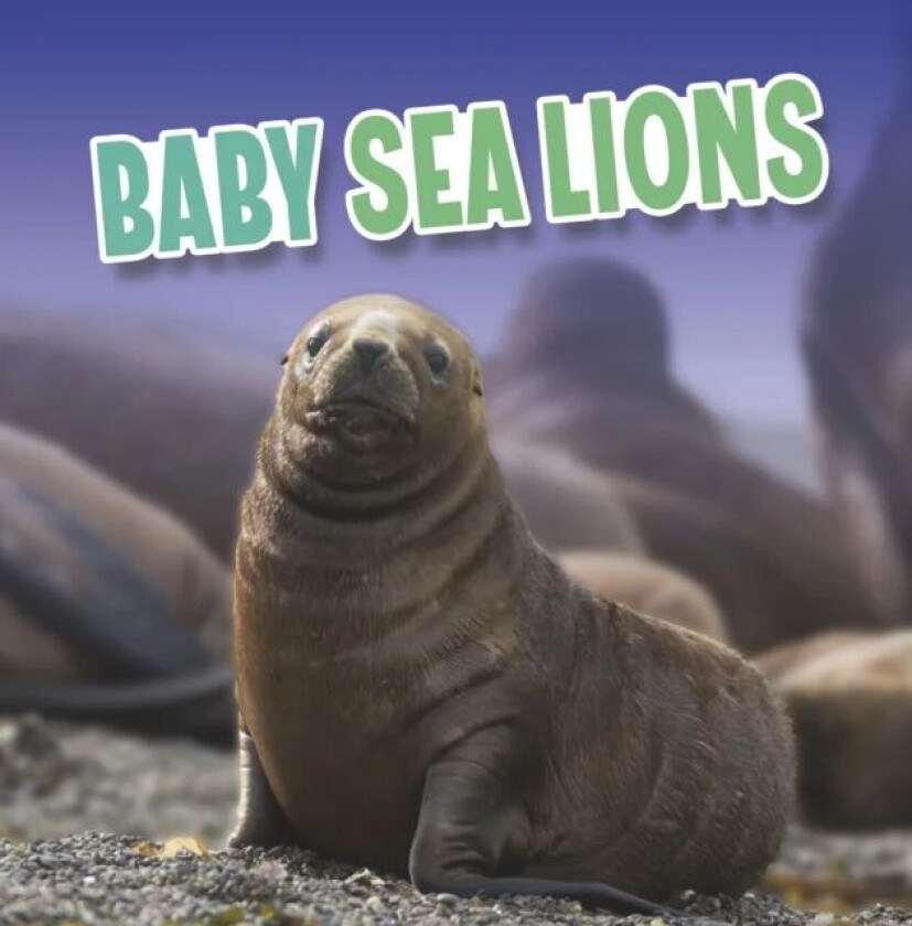 Baby Sea Lions av Martha E. H. Rustad
