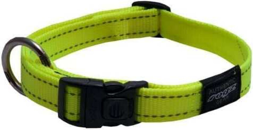 Utility Halsbånd Gul L