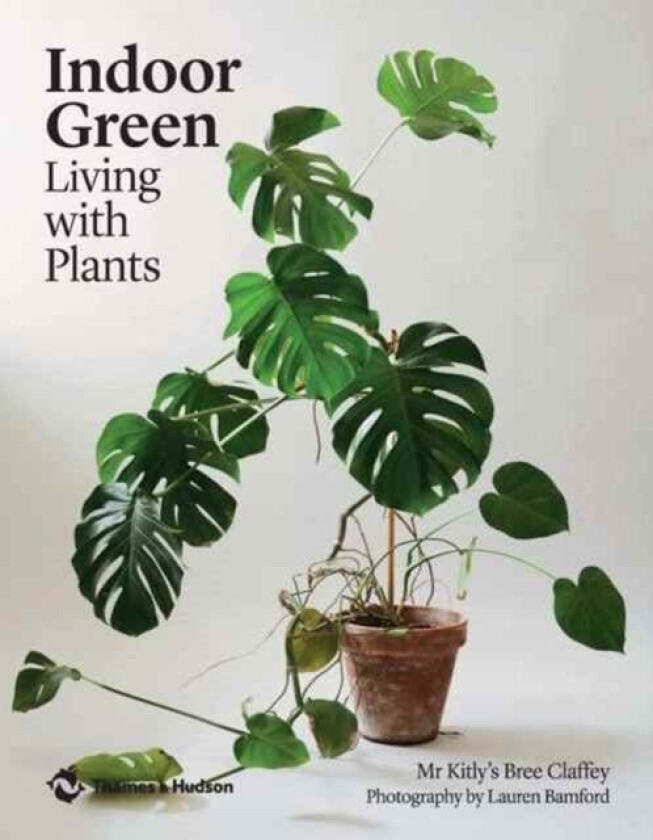 Indoor Green av Mr Kitly's Bree Claffey
