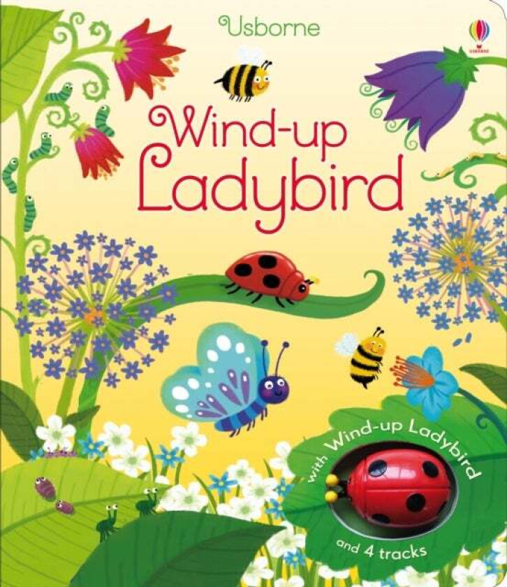 Wind-up Ladybird av Fiona Watt