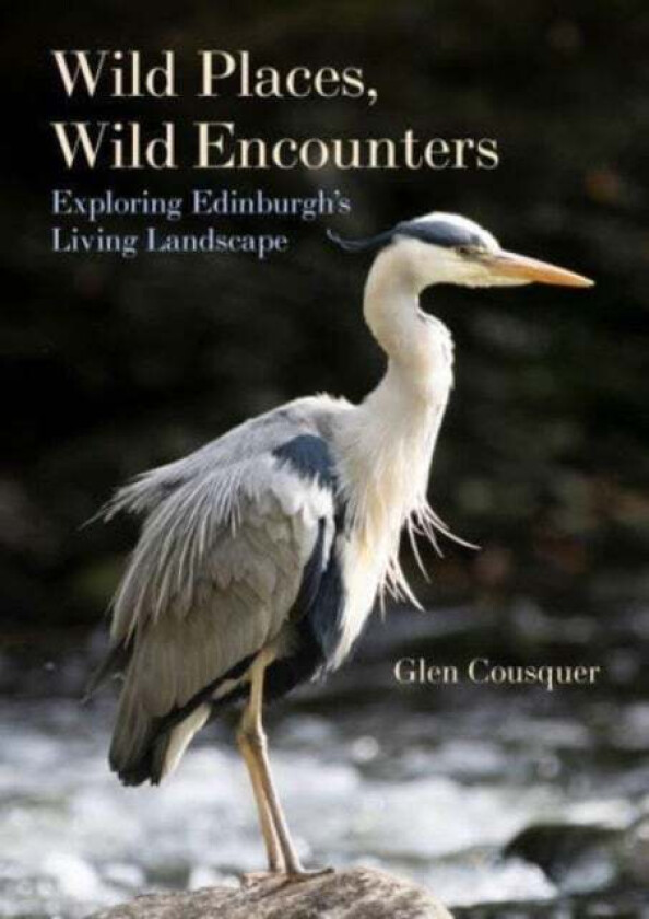 Wild Places, Wild Encounters av Glen Cousquer