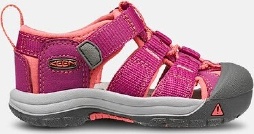 Newport H2, Little Kids Very Berry / Fusion Coral 31