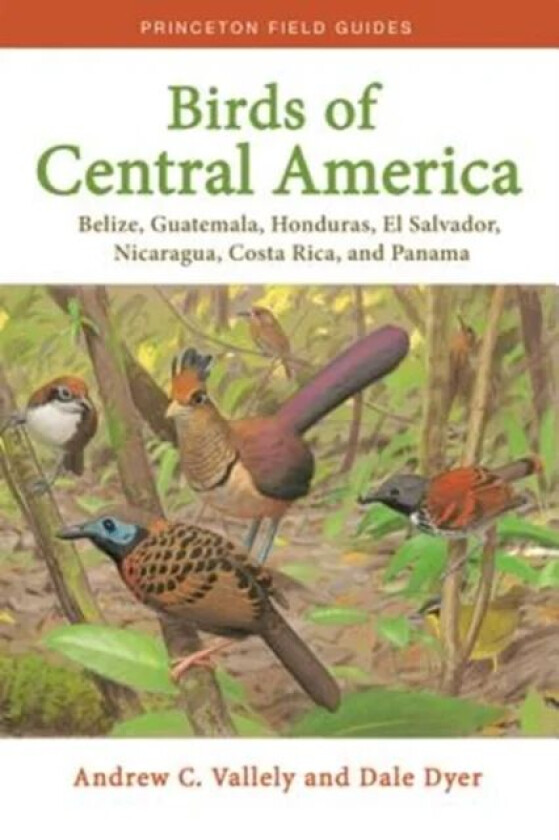Birds of Central America av Andrew Vallely, Dale Dyer