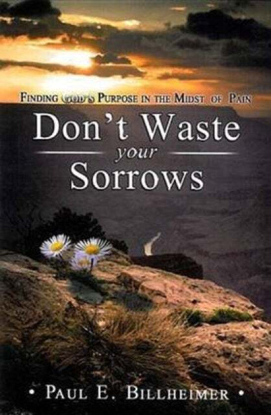 Don't Waste Your Sorrows av Paul E. Billheimer