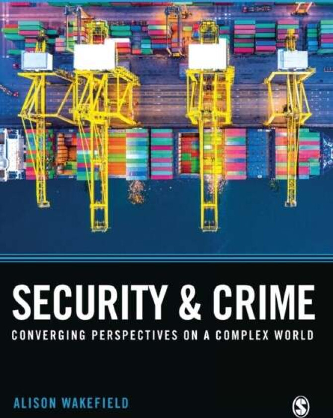 Security and Crime av Alison Wakefield