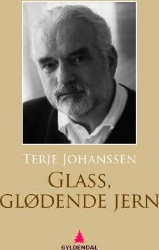 Glass, glødende jern av Terje Johanssen