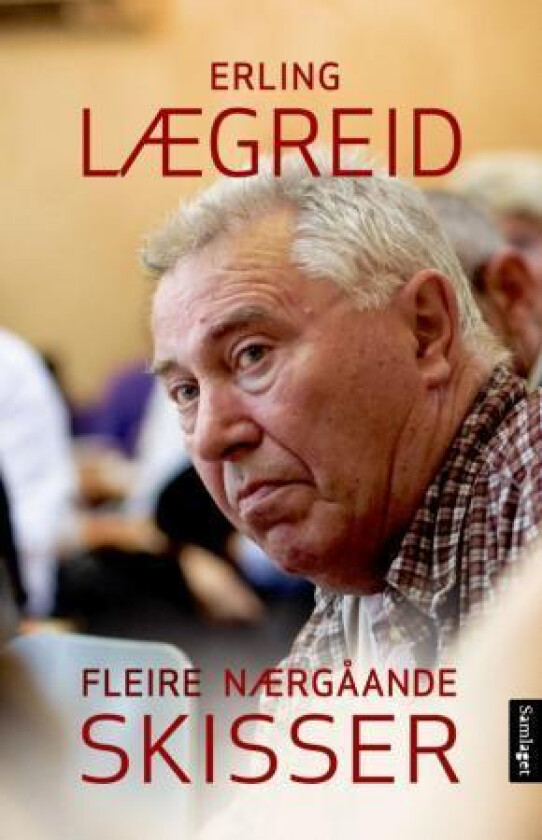 Fleire nærgåande skisser av Erling Lægreid