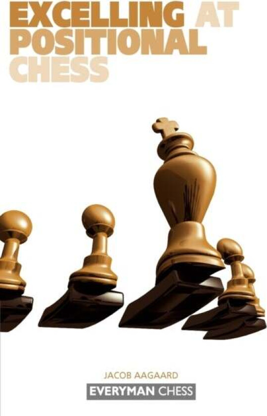 Excelling at Positional Chess: av Grandmaster Jacob Aagaard