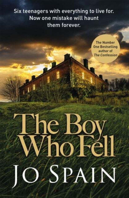 The Boy Who Fell av Jo Spain