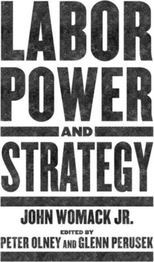 Labor Power And Strategy