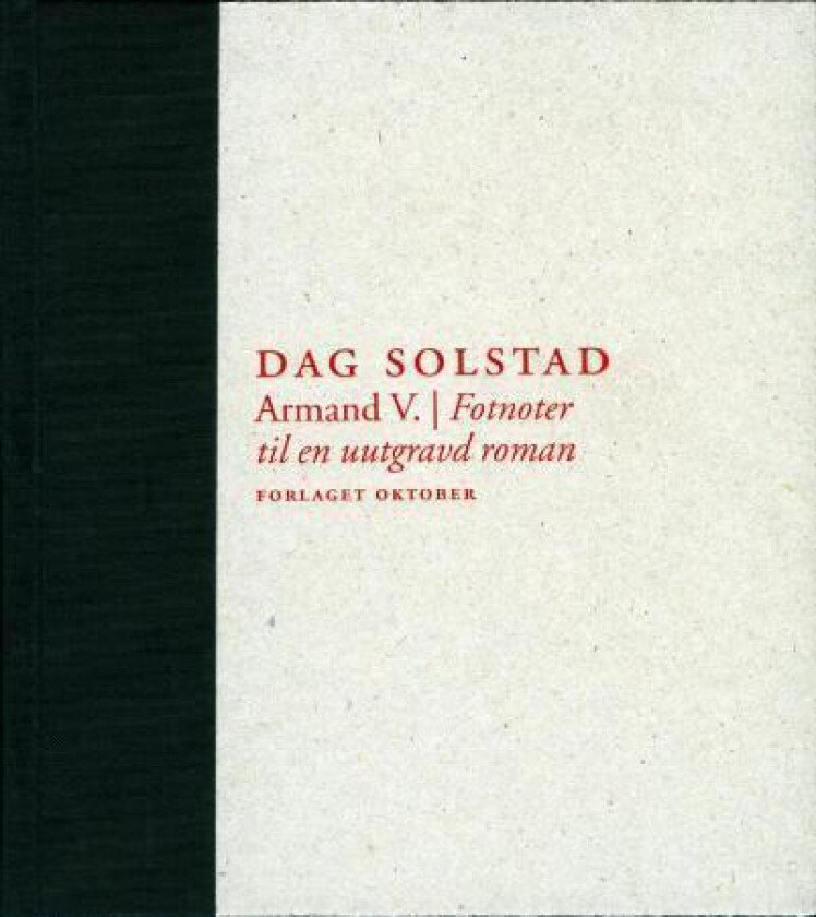 Armand V. av Dag Solstad