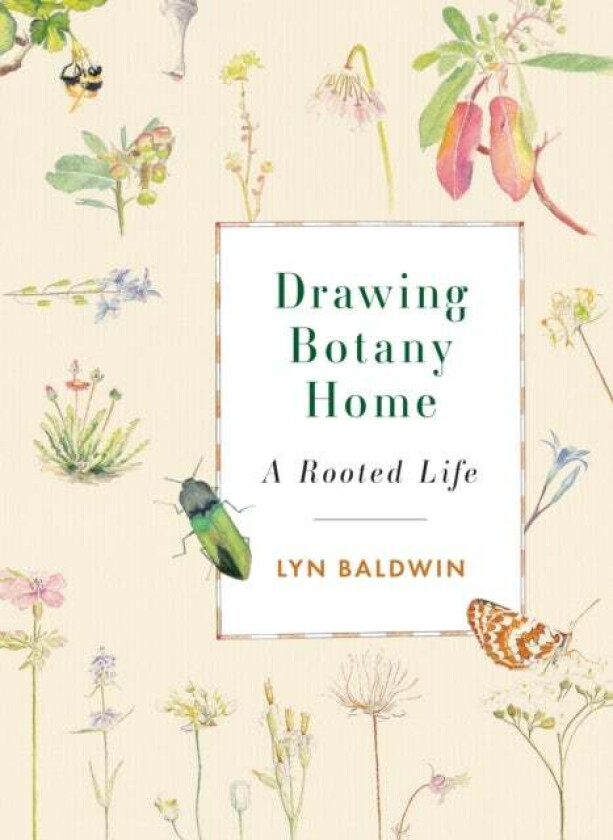 Drawing Botany Home av Lyn Baldwin