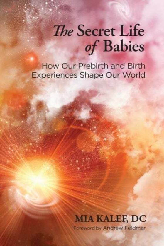 The Secret Life of Babies av Mia Kalef