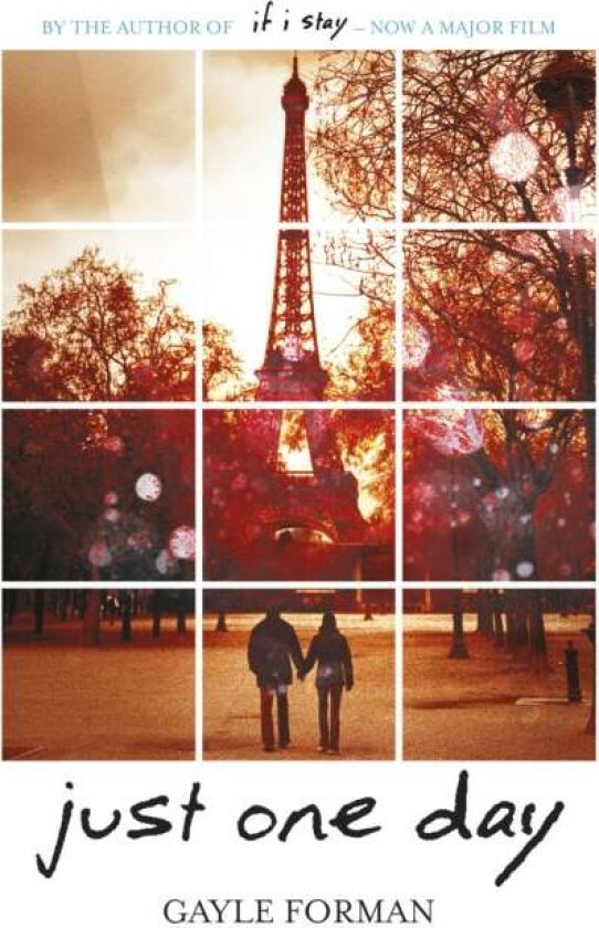 Just one day av Gayle Forman