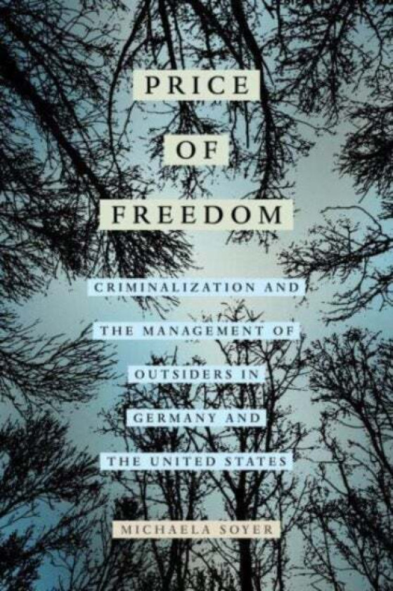 The Price of Freedom av Michaela Soyer