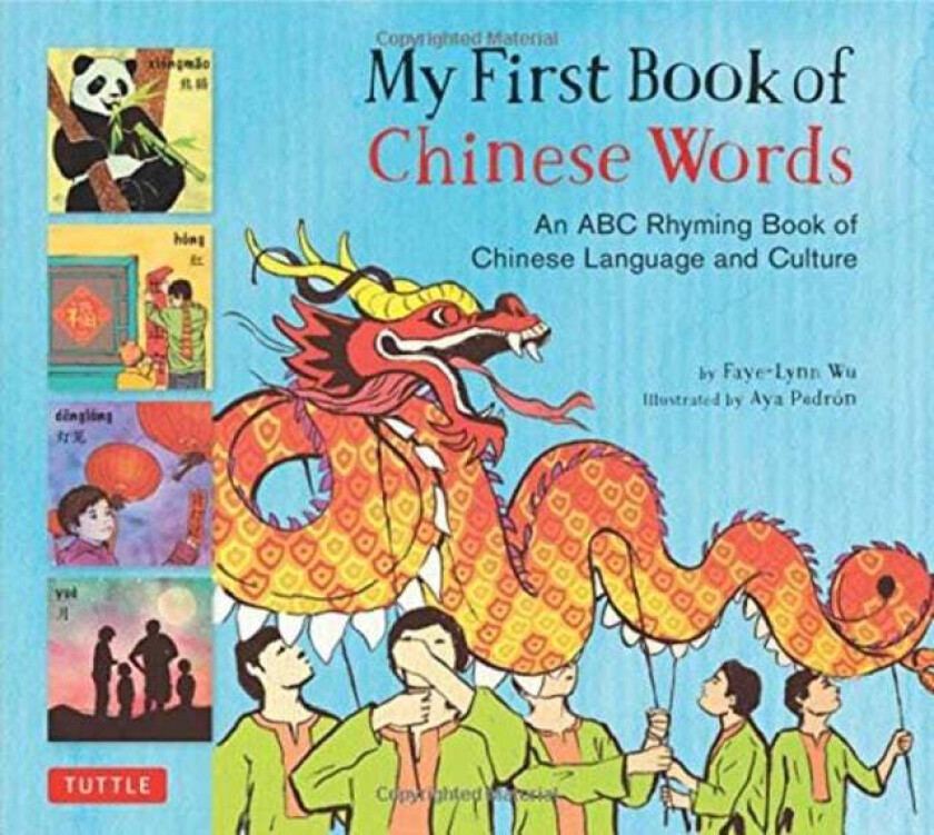 My First Book of Chinese Words av Faye-Lynn Wu