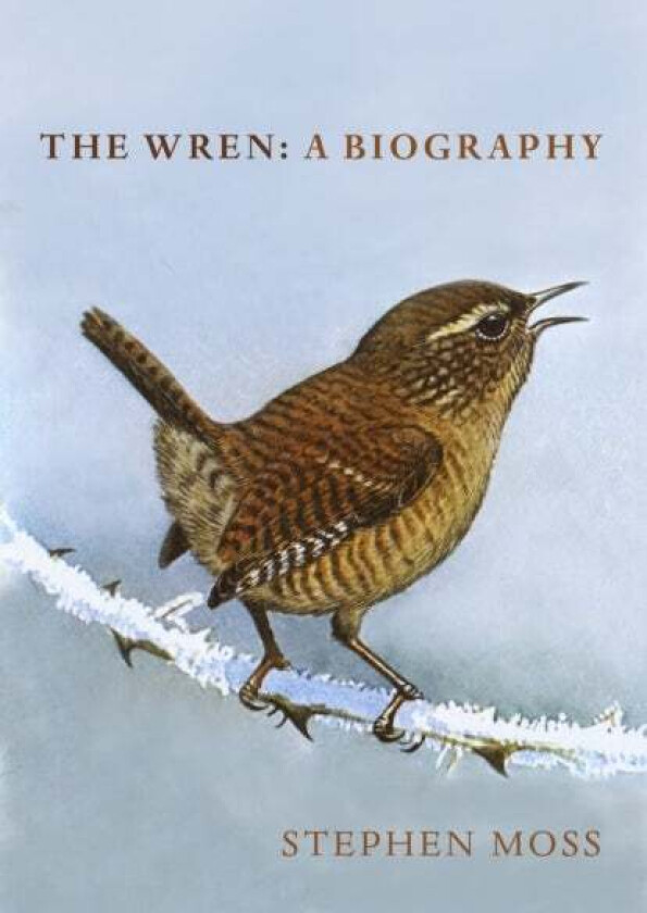 The Wren av Stephen Moss