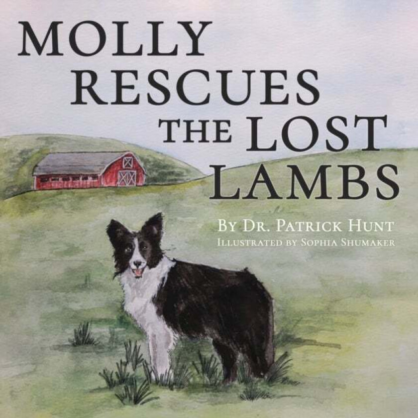 Molly Rescues the Lost Lambs av Patrick Hunt, Sophia Shumaker