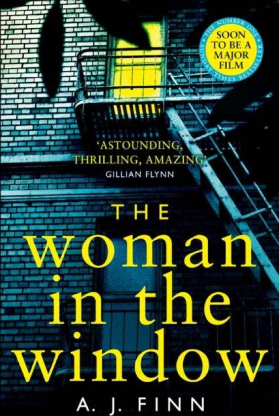 The woman in the window av A.J. Finn