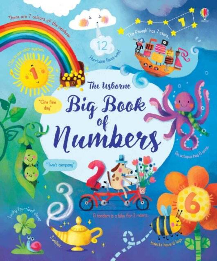 Big Book of Numbers av Felicity Brooks