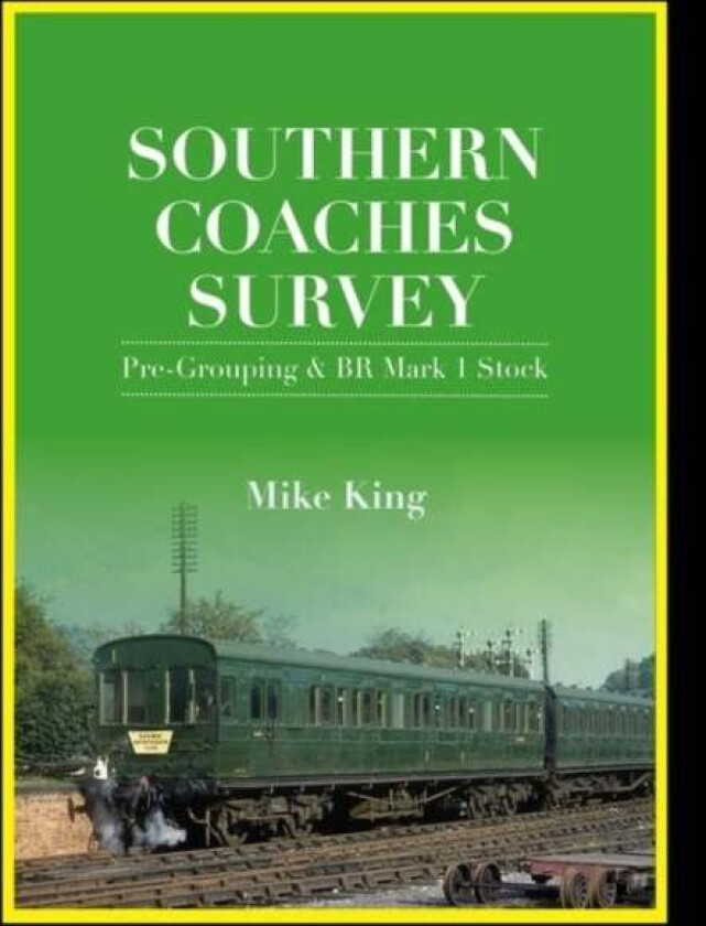 Southern Coaches Survey av Mike (Author) King