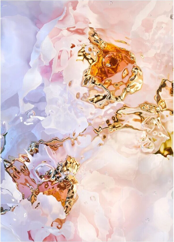 Flora Aquatica 03 poster 30x40 cm