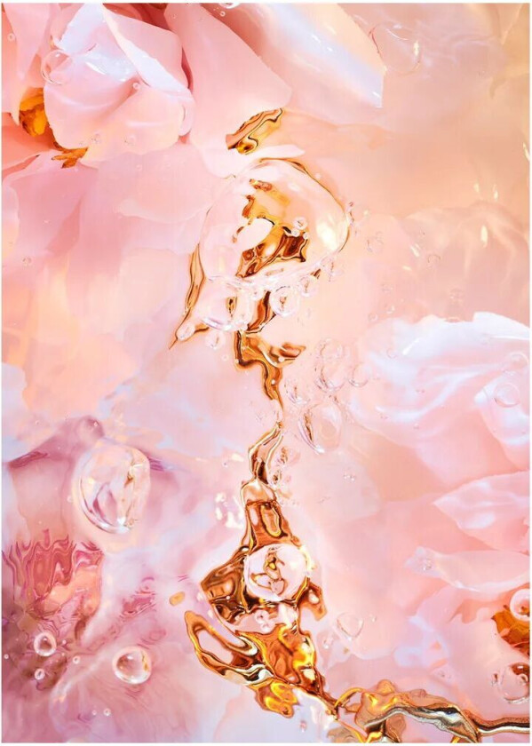 Flora Aquatica 02 poster 50x70 cm