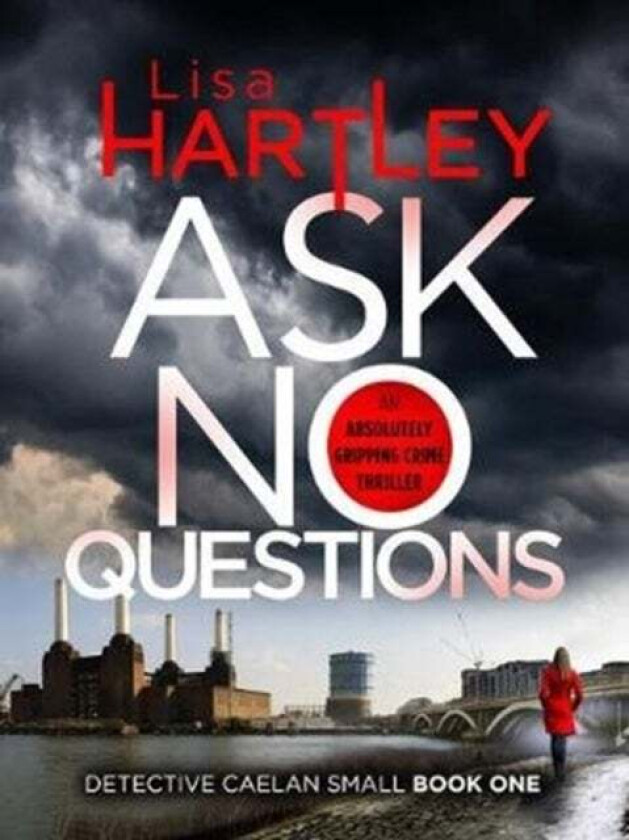 Ask No Questions av Lisa Hartley