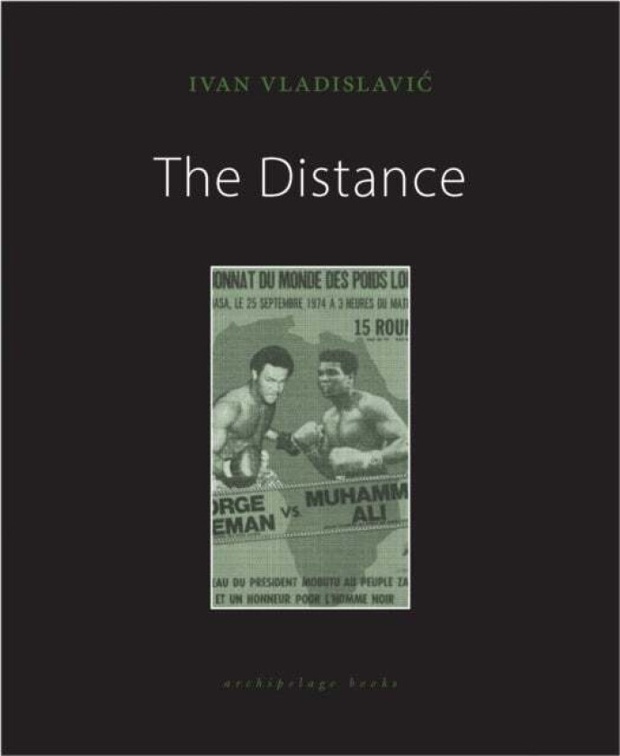 The Distance av Ivan Vladislavic
