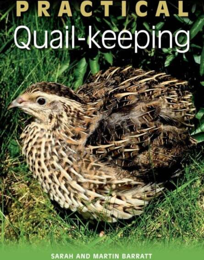 Practical Quail-keeping av Sarah Barratt, Martin Barratt