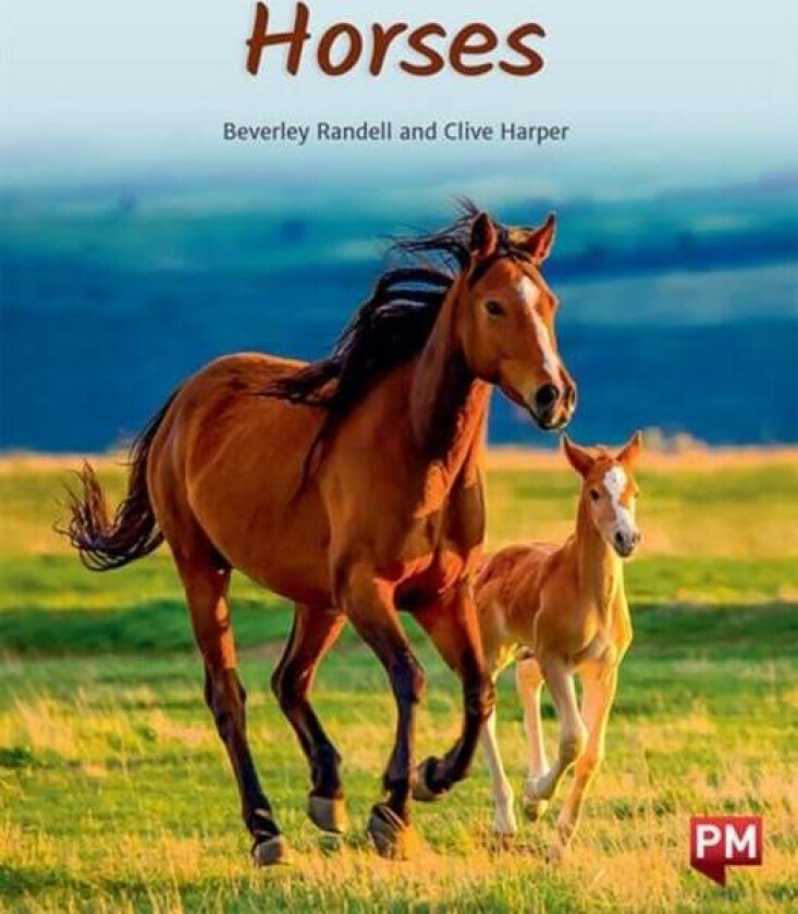 HORSES av BEVERLEY RANDELL