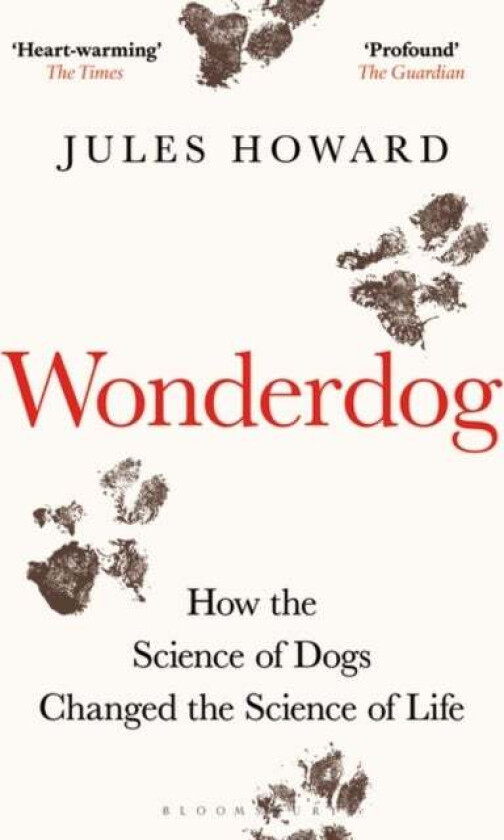 Wonderdog av Mr Jules Howard