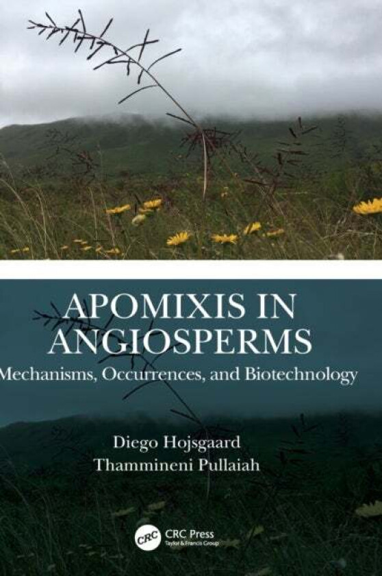 Apomixis in Angiosperms av Diego (University of Goettingen Germany) Hojsgaard, Thammineni (Sri Krishnadevarya University India) Pullaiah