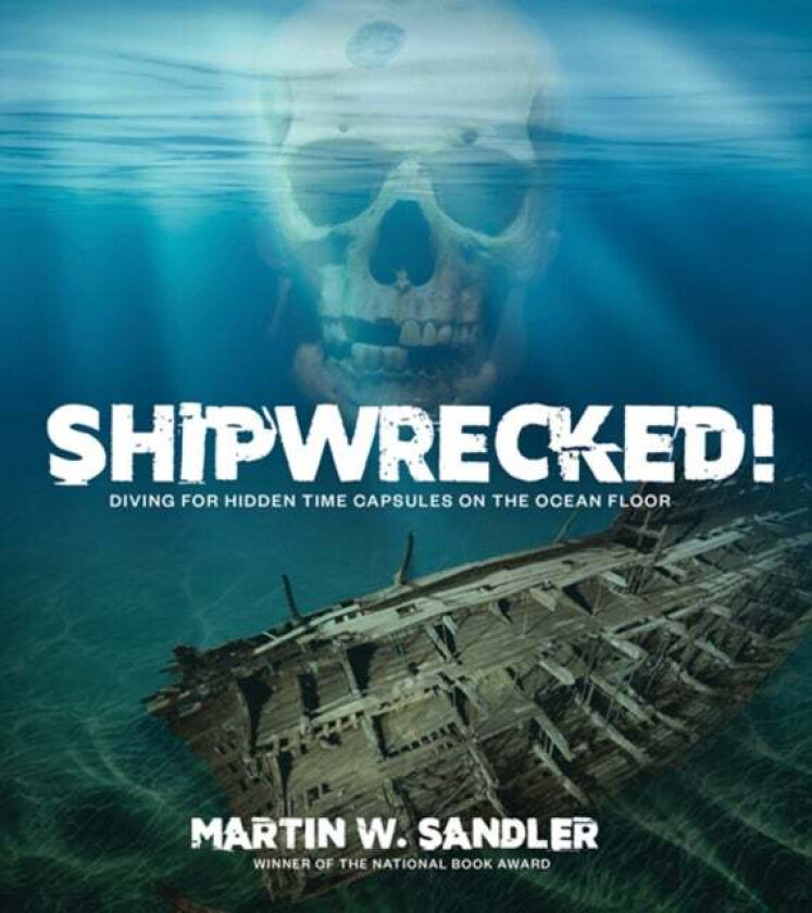 Shipwrecked! av Martin W. Sandler