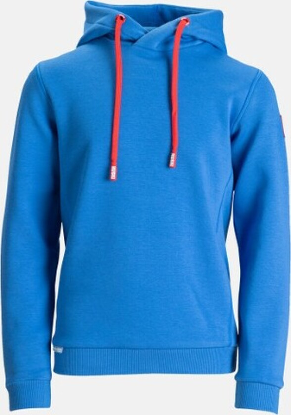 Jr Logo Hoody 2, Azure Blue, 146, Hoodies