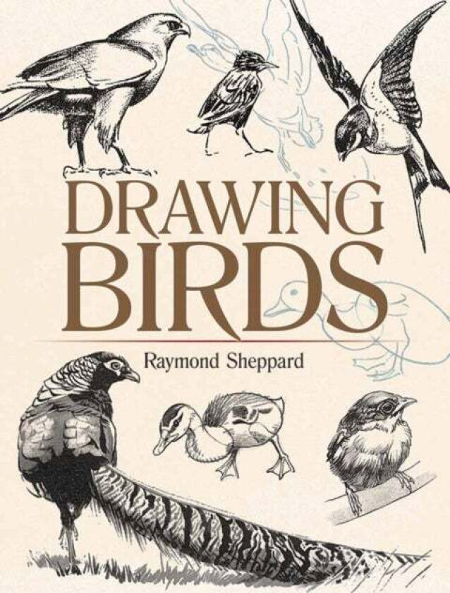 Drawing Birds av Raymond Sheppard