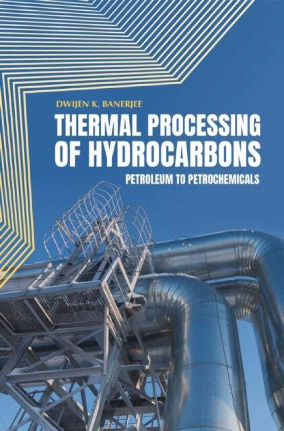 Thermal Processing of Hydrocarbons av Dwijen K. Banerjee