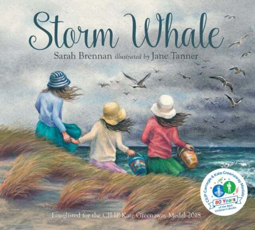 Storm Whale av Sarah Brennan