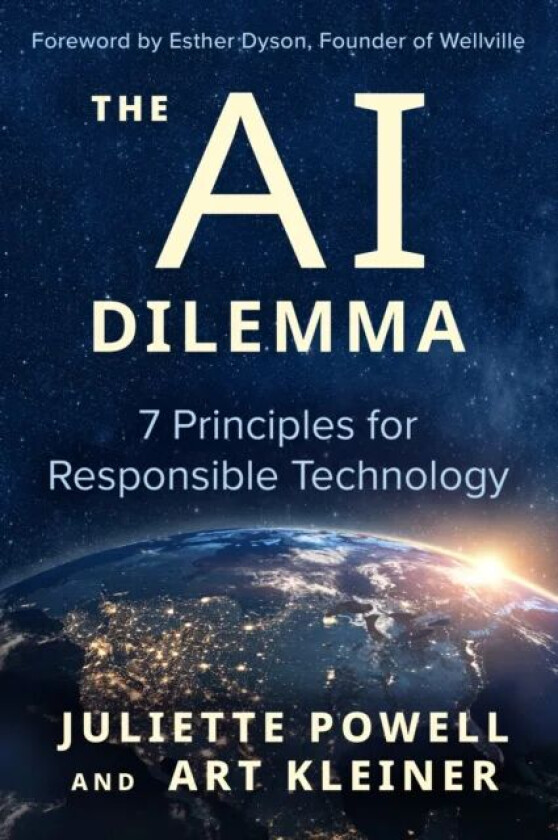The AI Dilemma av Juliette Powell, Art Kleiner