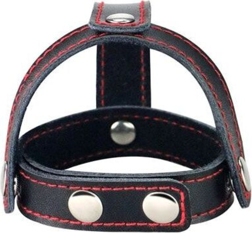 T-Style Leather Cockring With Ball Divider