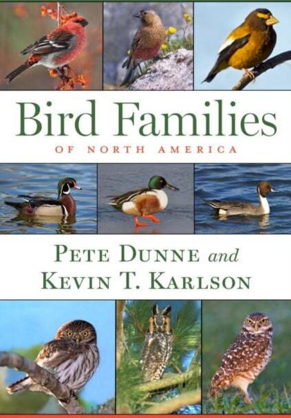 Bird Families Of North America av Pete Dunne, Kevin T. Karlson