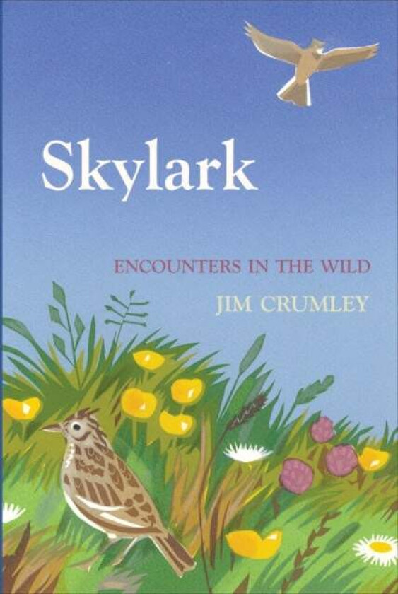 Skylark av Jim Crumley