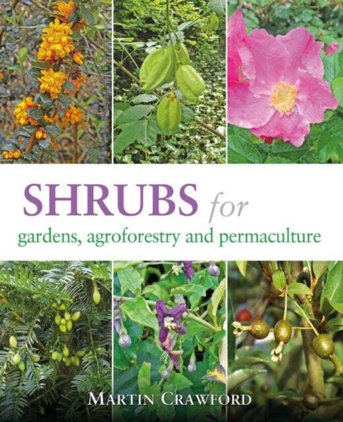 Shrubs for Gardens, Agroforestry and Permaculture av Martin Crawford