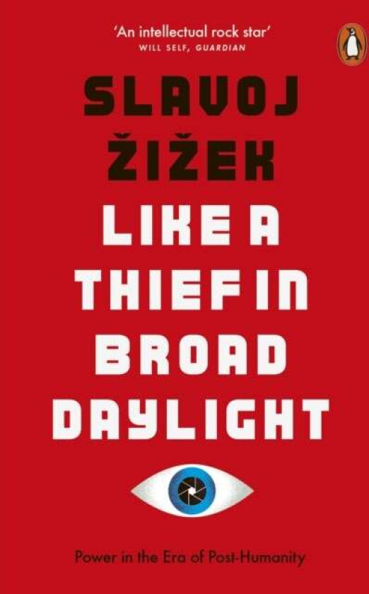Like A Thief In Broad Daylight av Slavoj Zizek